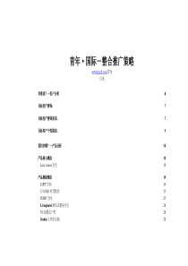 青年国际-整合推广策略