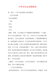 大学生社会实践报告