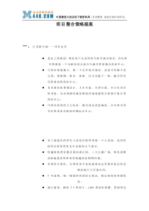 项目整合策略提案