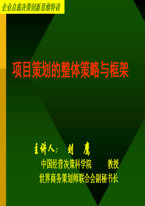 项目策划的整体策略与框架