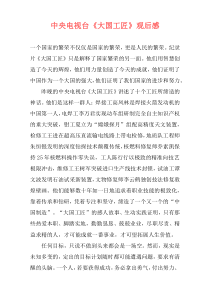 中央电视台《大国工匠》观后感
