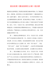 副总经理《激浊扬清在云南》观后感