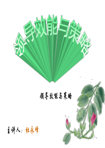 领导效能与策略