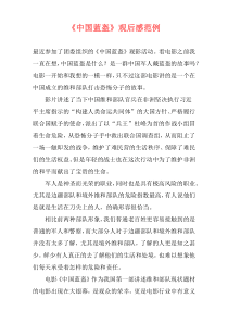 《中国蓝盔》观后感范例