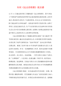 车间《远去的牧歌》观后感