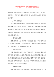 中学挂职学习心得体会范文