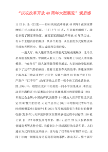 “庆祝改革开放40周年大型展览”观后感