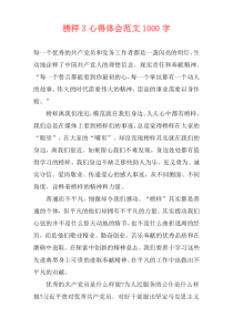 榜样3心得体会范文1000字