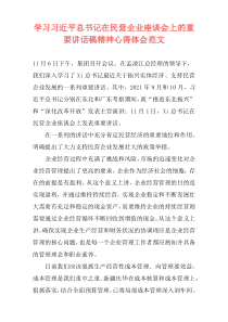 学习习近平总书记在民营企业座谈会上的重要讲话稿精神心得体会范文