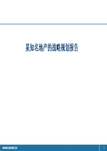 房地产战略规划报告