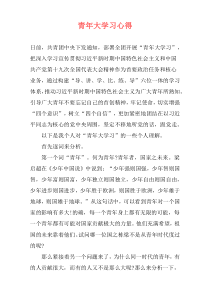 青年大学习心得