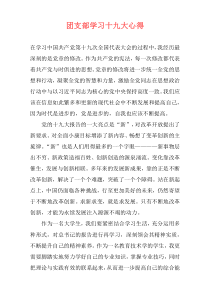 团支部学习十九大心得