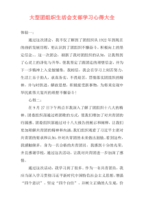 大型团组织生活会支部学习心得大全