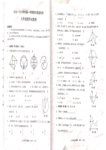河南省安阳市2018-2019学年九年级数学上学期期末试卷（pdf）