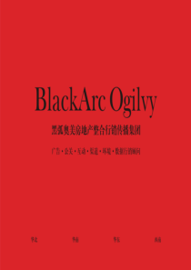黑弧奥美-郑州万象城悦府策略推广