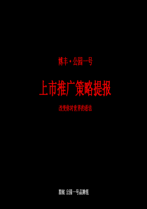 黑蚁-重庆公园一号上市推广策略提报-59PPT