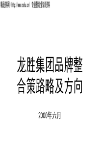 龙胜集团品牌整合策略