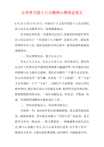 公司学习团十八大精神心得体会范文