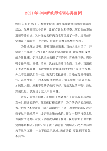 2021年中学新教师培训心得范例