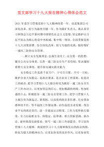 党支部学习十九大报告精神心得体会范文