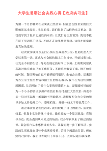 大学生暑期社会实践心得【政府实习生】