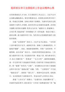 组织部长学习全国组织工作会议精神心得