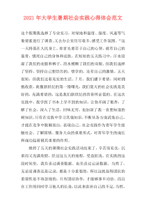 2021年大学生暑期社会实践心得体会范文