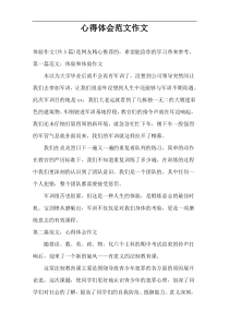 心得体会范文作文