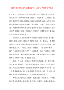 团市委书记学习团的十八大心得体会范文