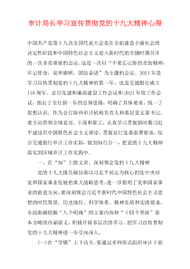 审计局长学习宣传贯彻党的十九大精神心得