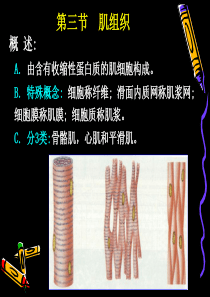07助理考试试题回忆
