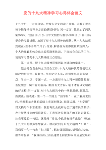 党的十九大精神学习心得体会范文