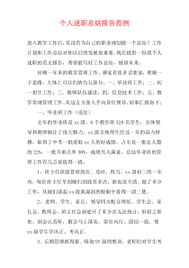 个人述职总结报告范例