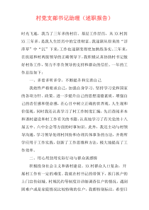 村党支部书记助理（述职报告）