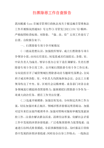扫黑除恶工作自查报告