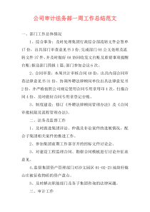 公司审计法务部一周工作总结范文
