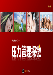 15-压力管理探微(布衣公子作品)XXXX1007版teliss
