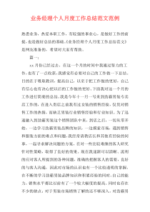 业务经理个人月度工作总结范文范例
