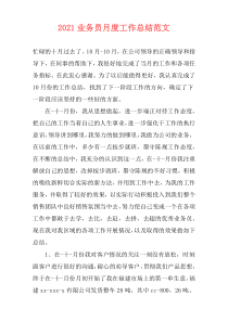 2021业务员月度工作总结范文