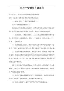 农村小学财务自查报告