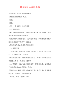 敬老院社会实践总结
