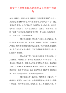 公安厅上半年工作总结范文及下半年工作计划