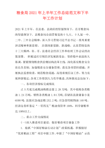 粮食局2021年上半年工作总结范文和下半年工作计划