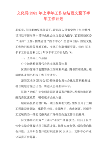 文化局2021年上半年工作总结范文暨下半年工作计划