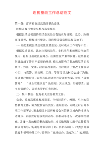 巡视整改工作总结范文