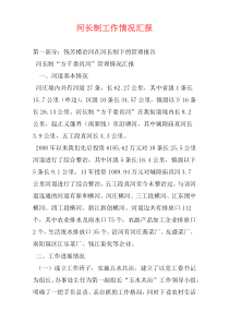 河长制工作情况汇报