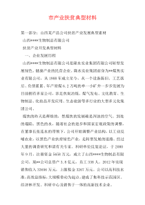 市产业扶贫典型材料