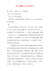 护士聘期工作总结范文