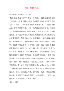 观灯有感作文