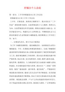 村镇办个人总结